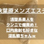 怪獣ブログのアイキャッチ
